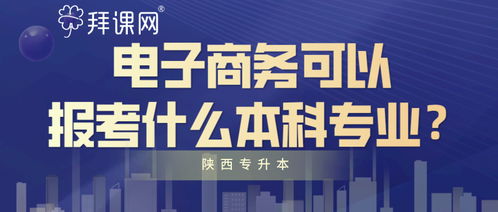 电子商务专业可报吗