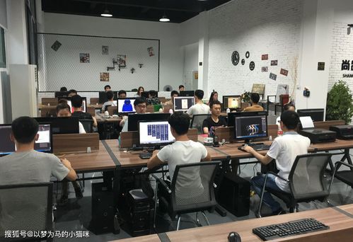 电子商务专业最好的大专