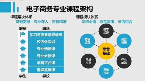 电子商务专业基本能力