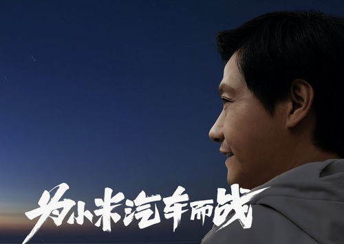 雷军说十年饮冰难凉热血，科技巨头的奋斗之路