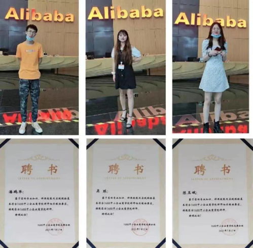 电子商务单招选什么专业