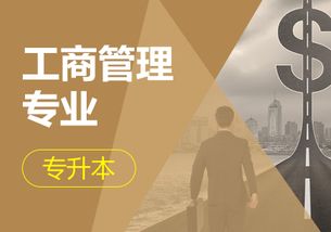 成考大专电子商务专业