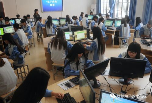 电子商务专业课好多啊
