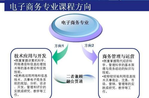 电子商务专业考公适合吗