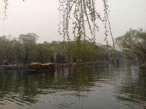 99元！商家售卖北大未名湖湖水，网友热议，这是何等的奢华？