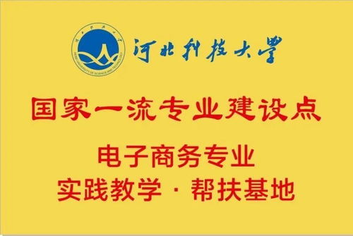 电子商务一流专业培育