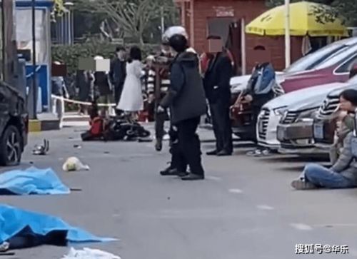 2岁孩童启动三轮车被路人拦停后跌落