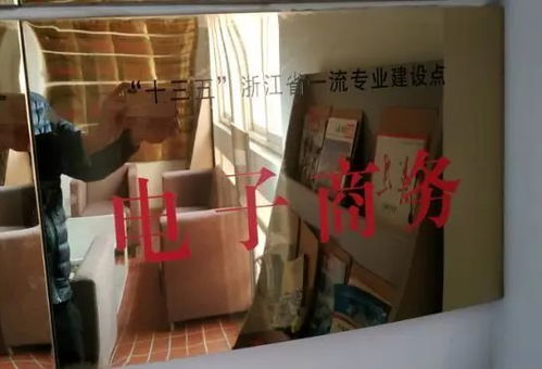 浙江电子商务专业工作室