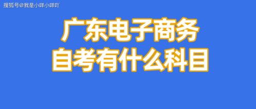 大一电子商务专业怎么考