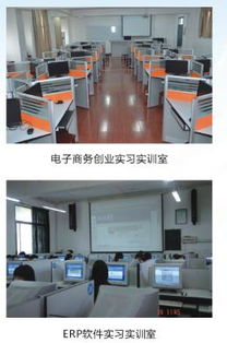 杭电的电子商务专业好吗