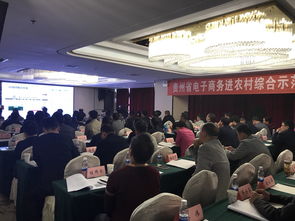 贵阳电子商务相关专业
