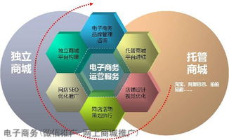 电子商务专业属哪类学科