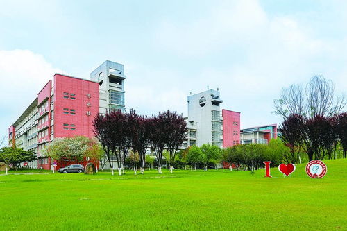 沈阳电子商务专业学校